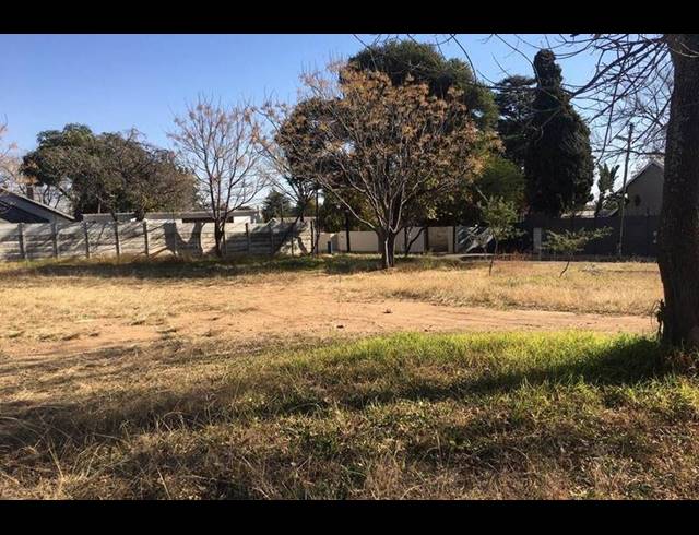 BUSINESS FOR SALE IN KENSINGTON B